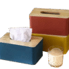 Tissue holder