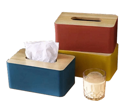 Tissue holder